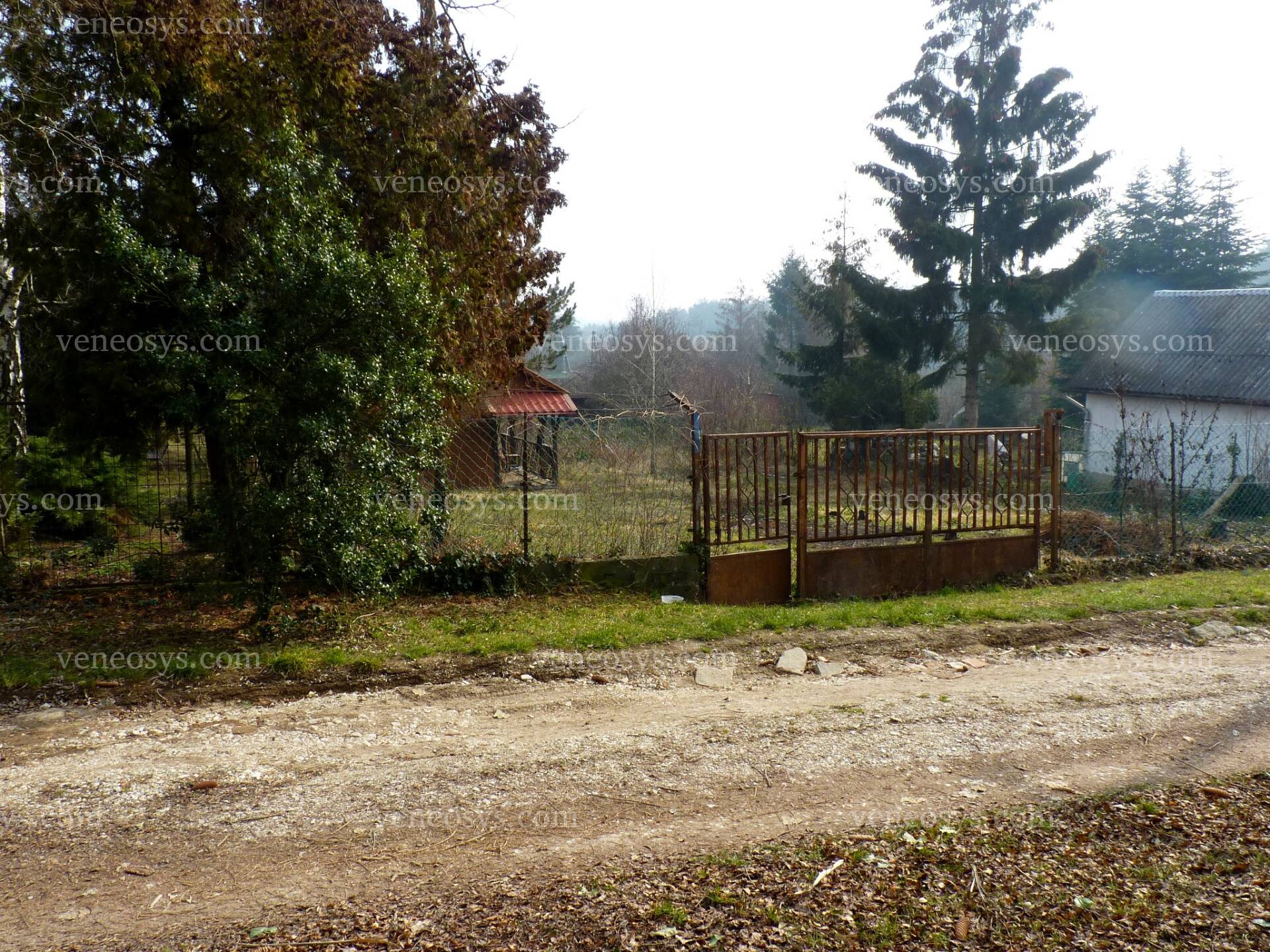 Kép 6