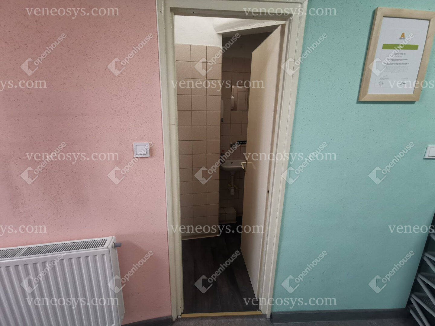 Kép 19