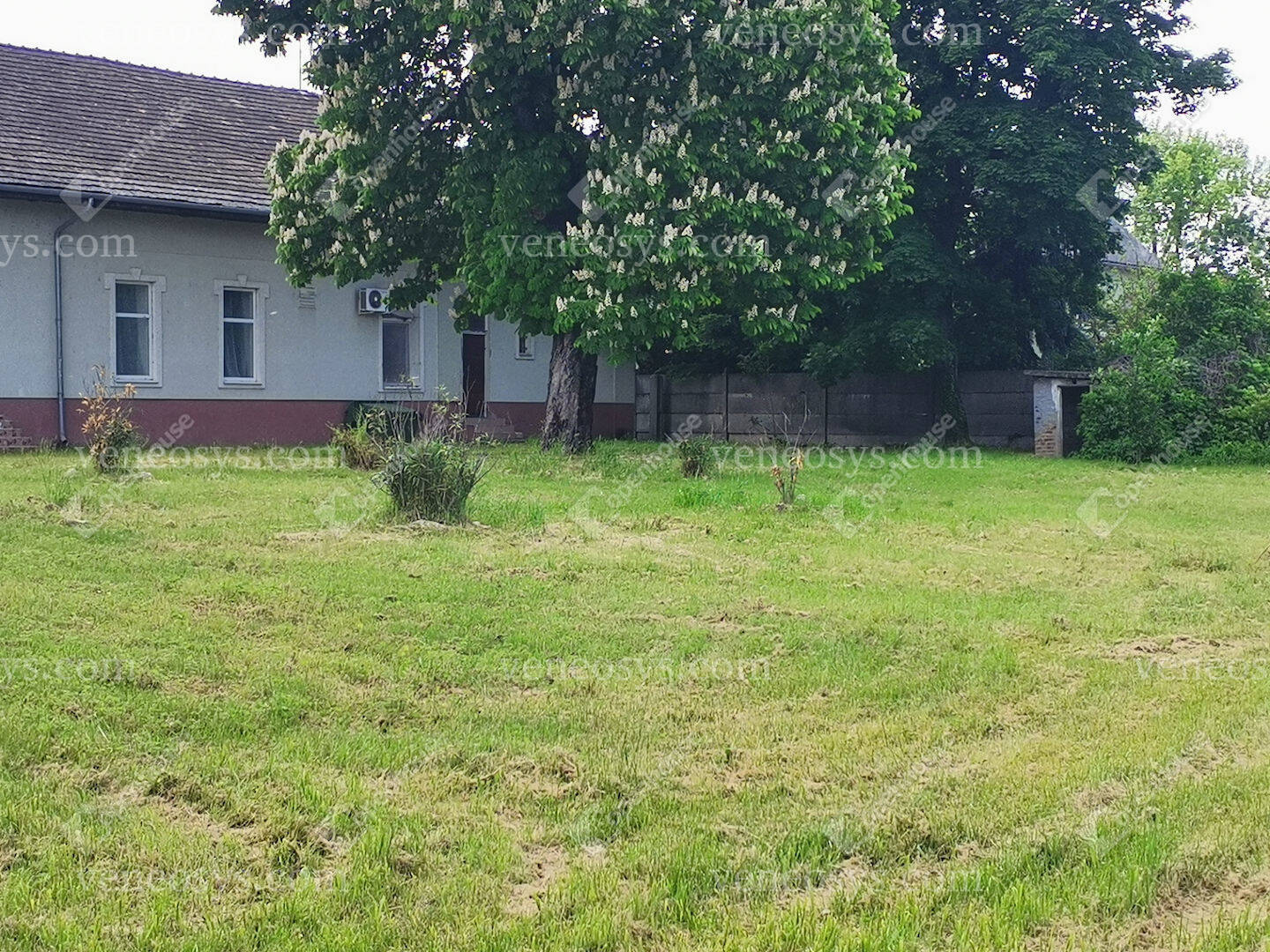 Kép 16