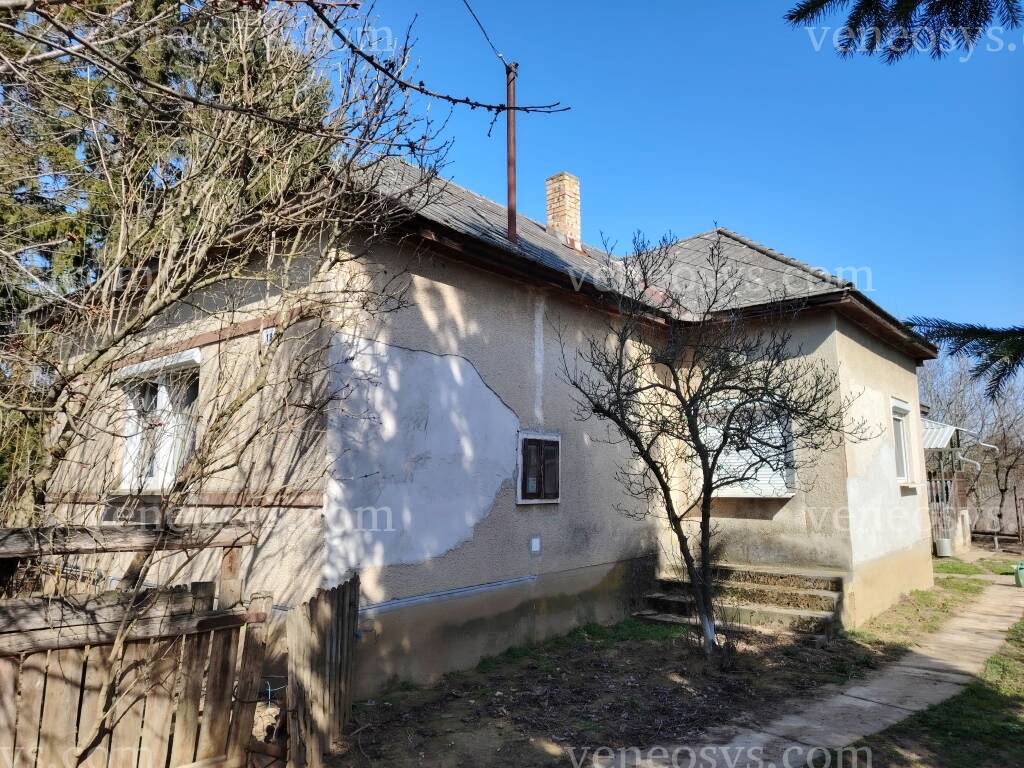 Kép 4