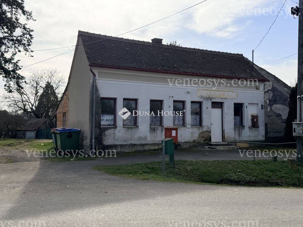 Kép 1