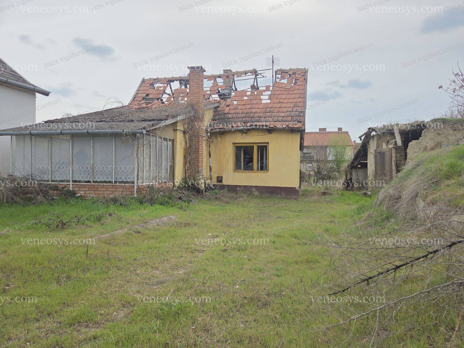 Kép 4