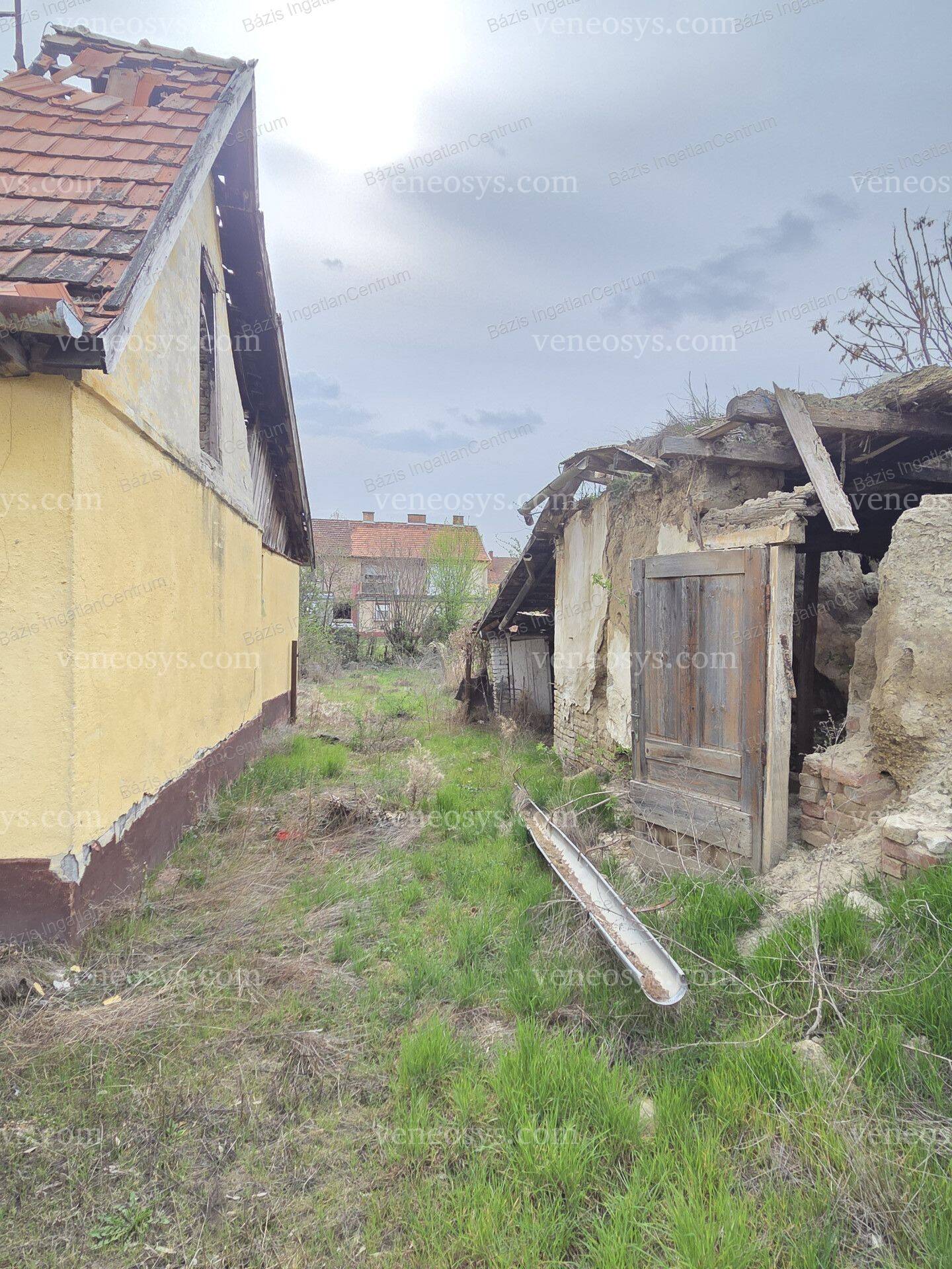 Kép 3