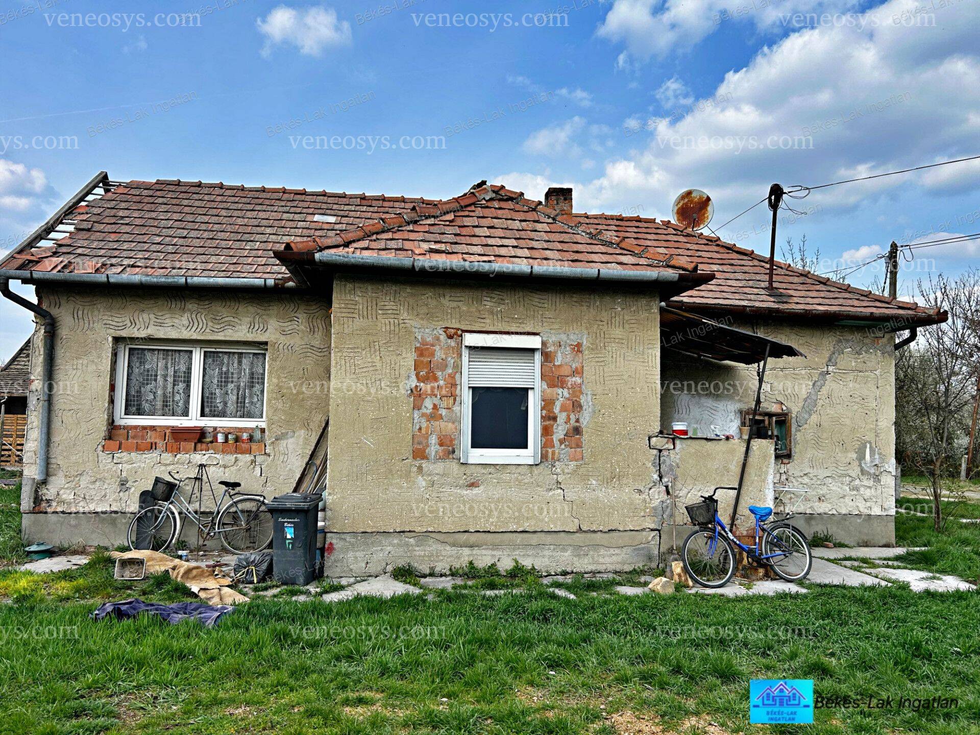 Kép 5