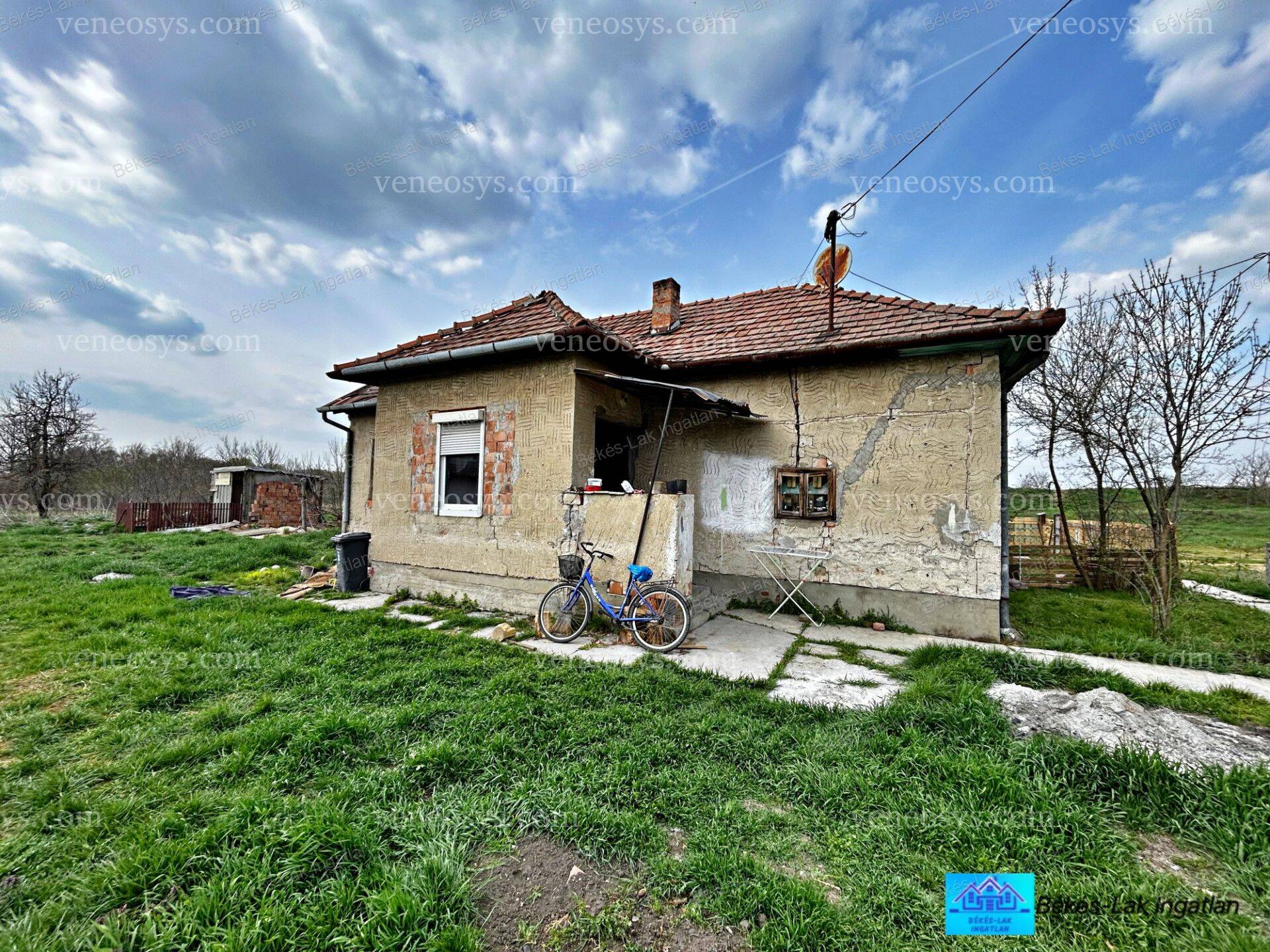 Kép 4