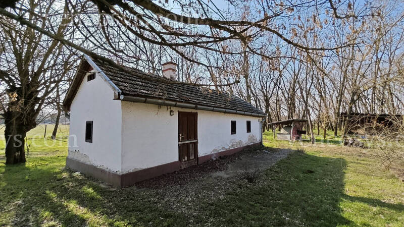 Kép 3