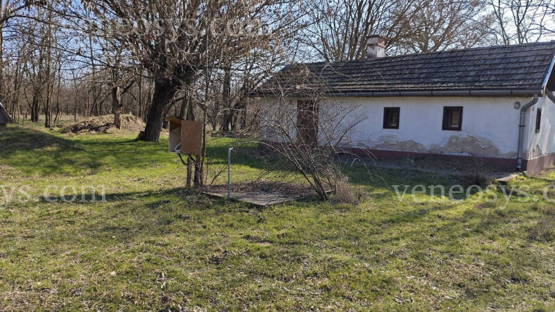 Kép 7