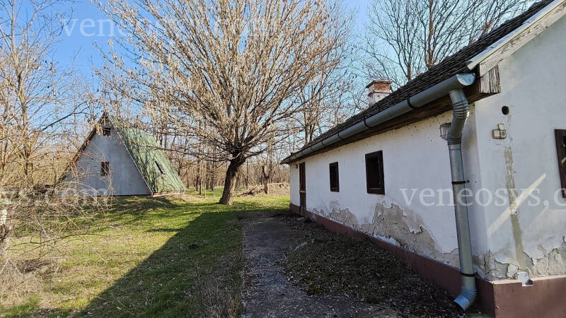 Kép 14