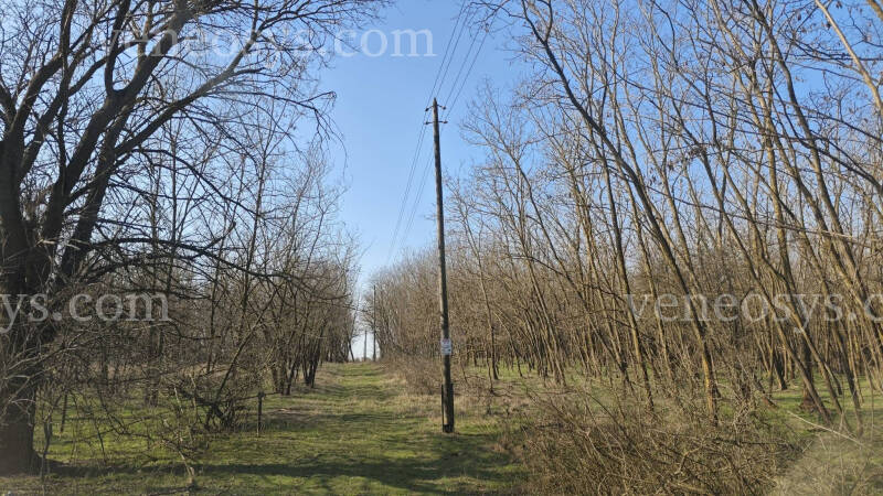 Kép 5
