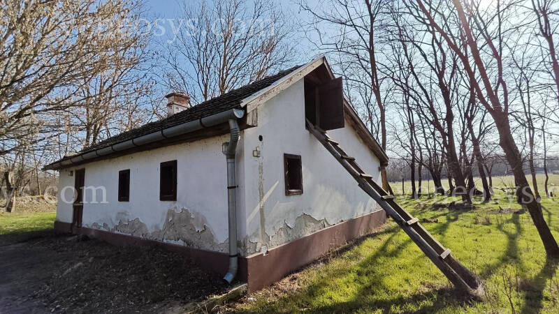Kép 18