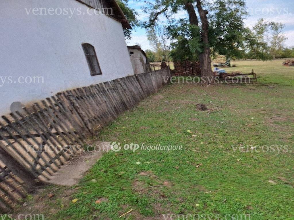 Kép 13