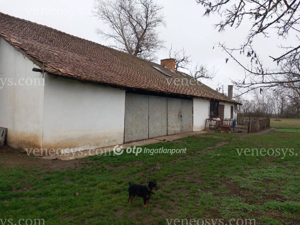 Kép 2