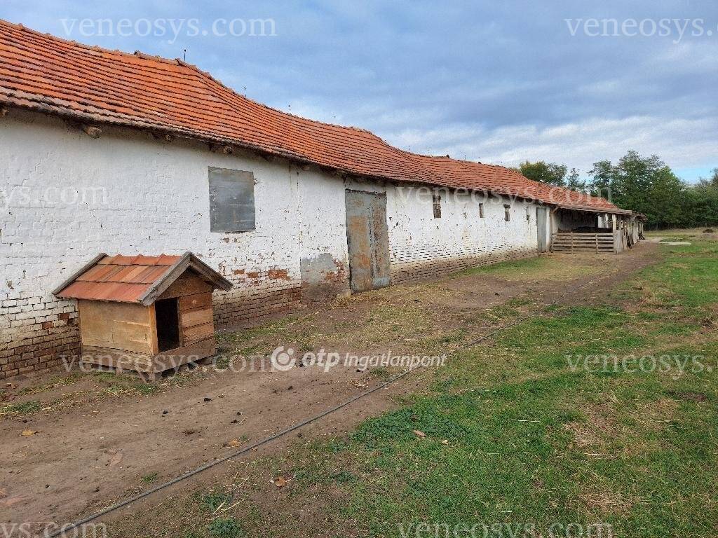 Kép 15