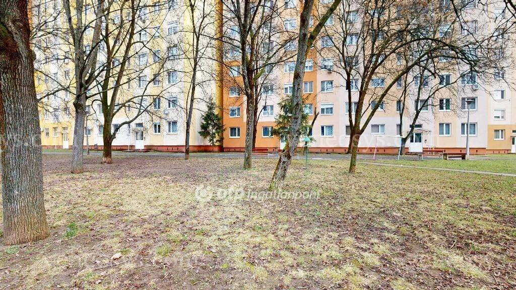 Kép 12
