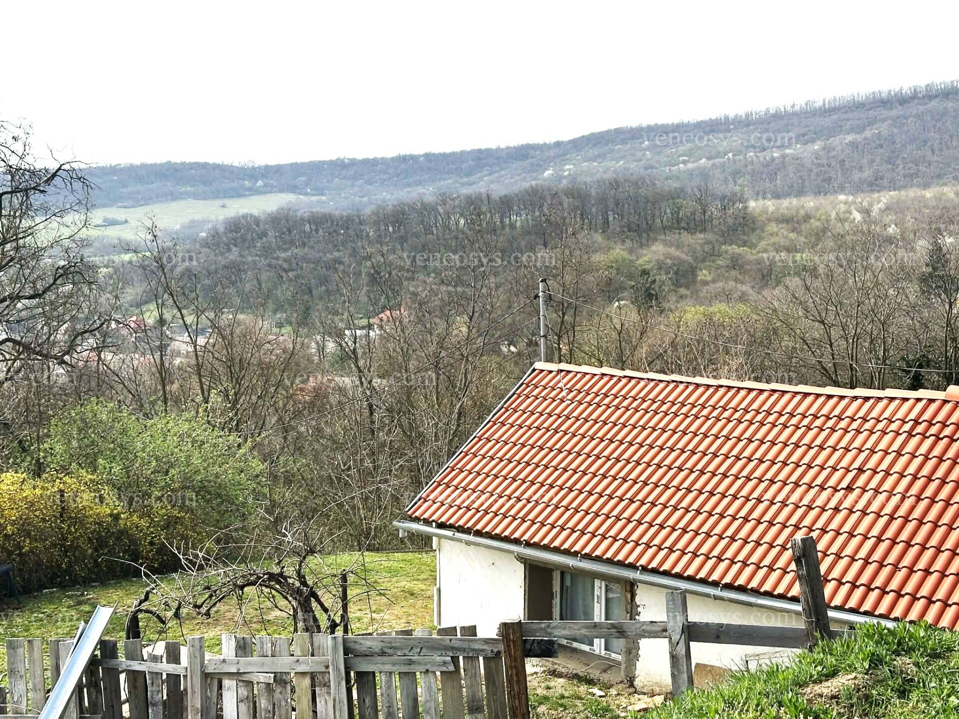 Kép 8