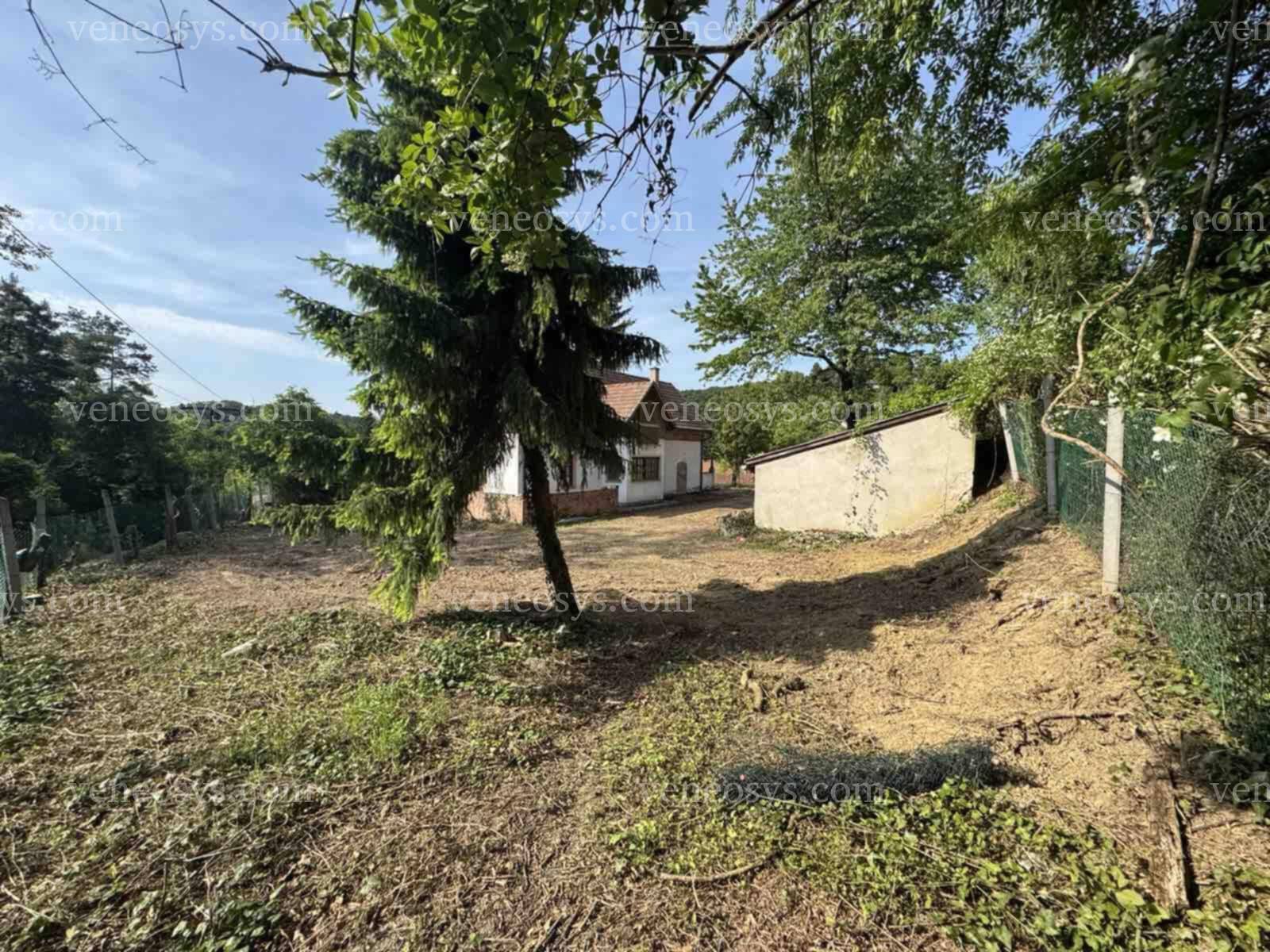 Kép 3