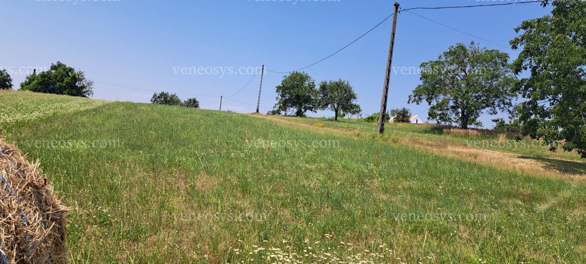 Kép 19