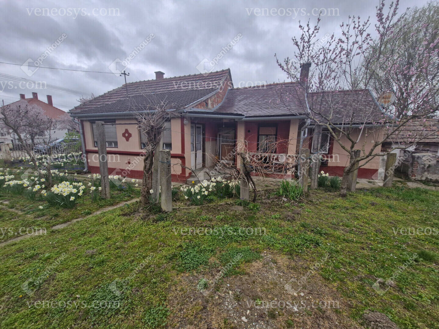 Kép 5