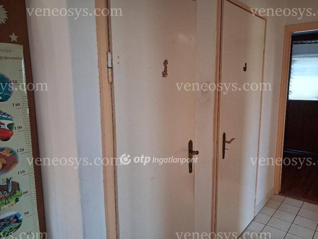 Kép 13