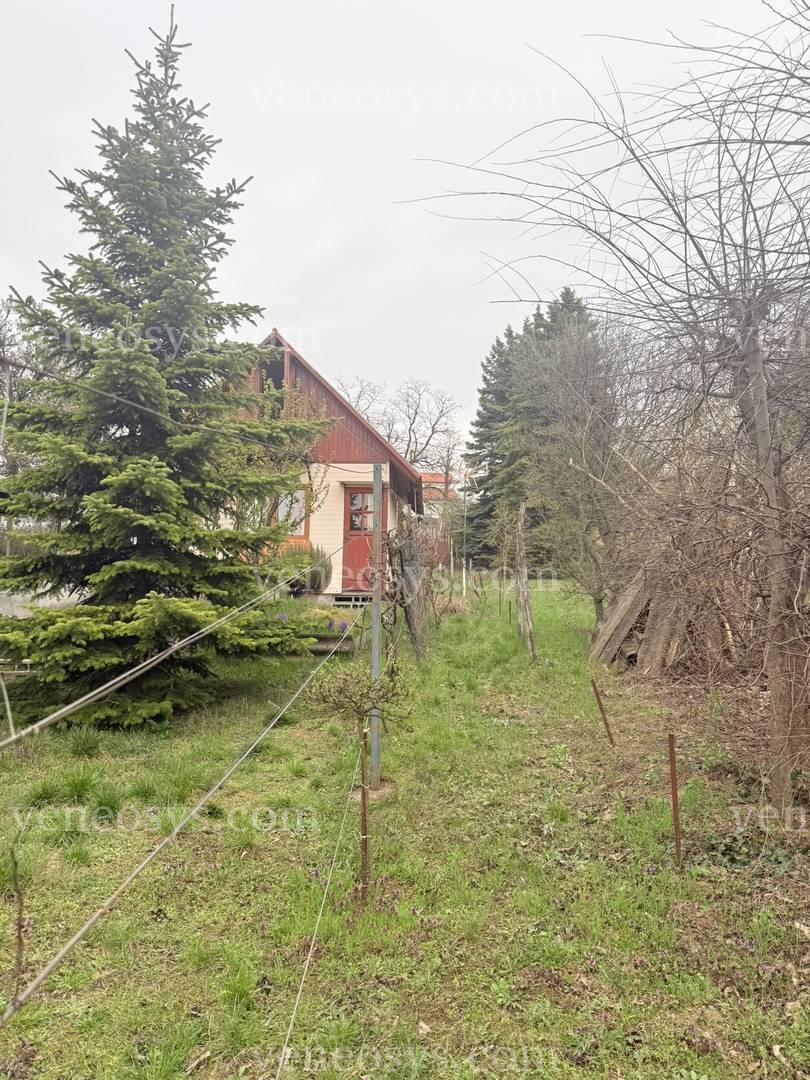 Kép 20
