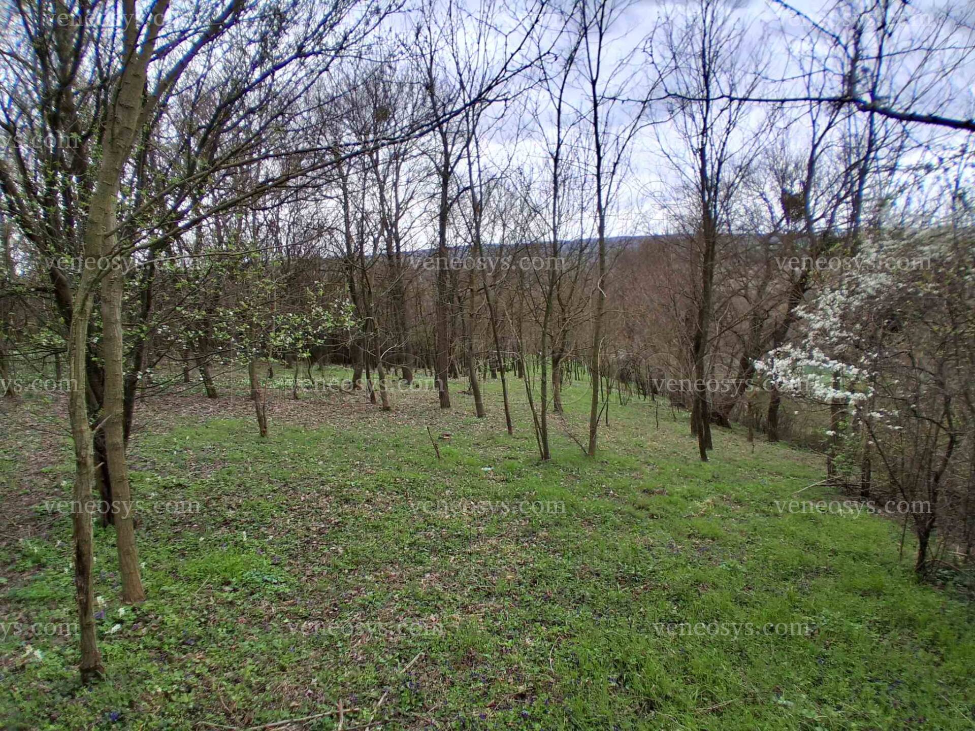 Kép 1