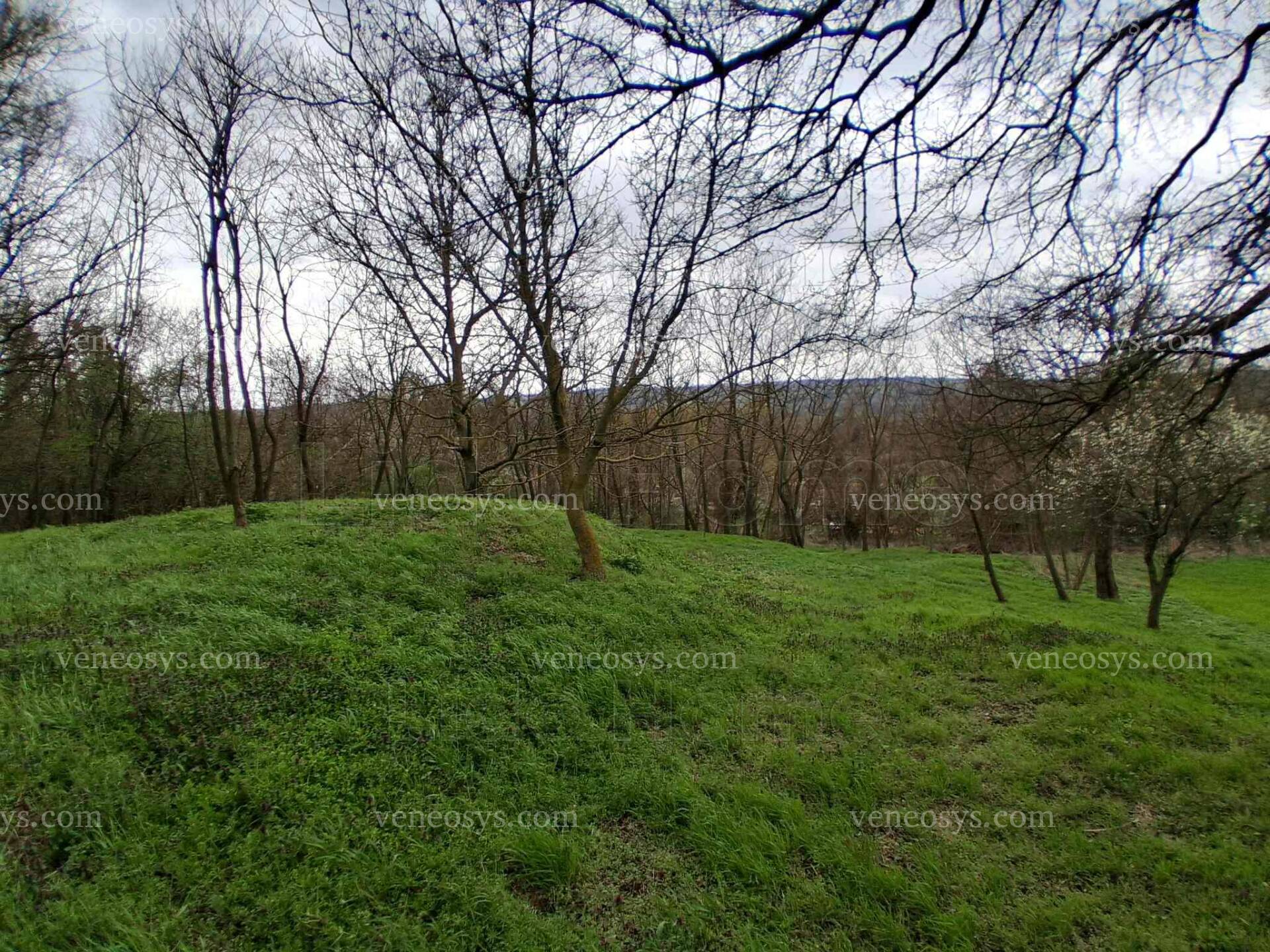 Kép 4