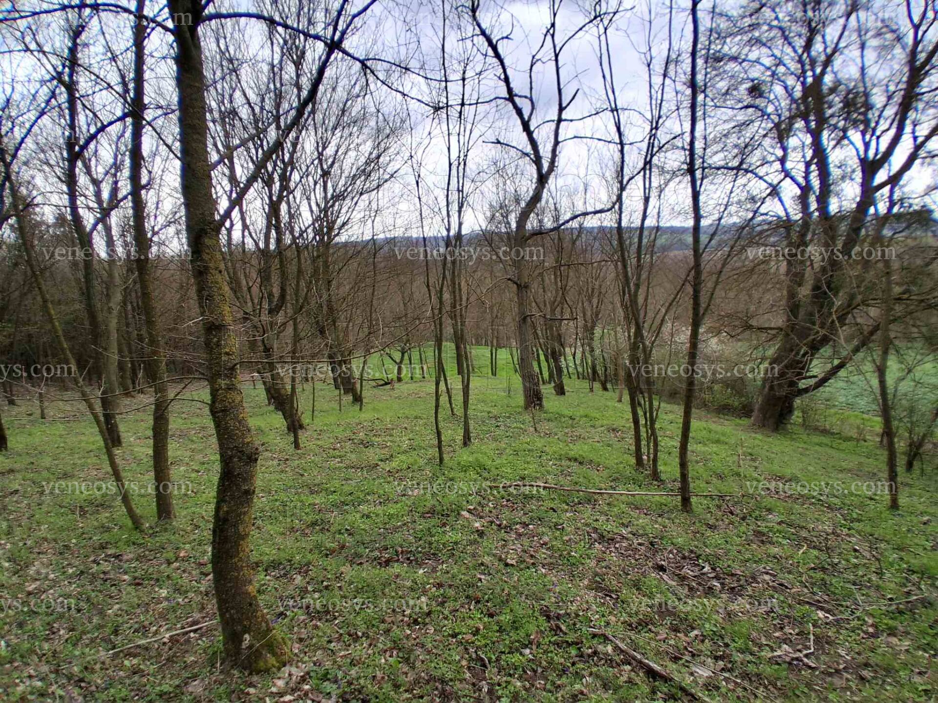 Kép 2