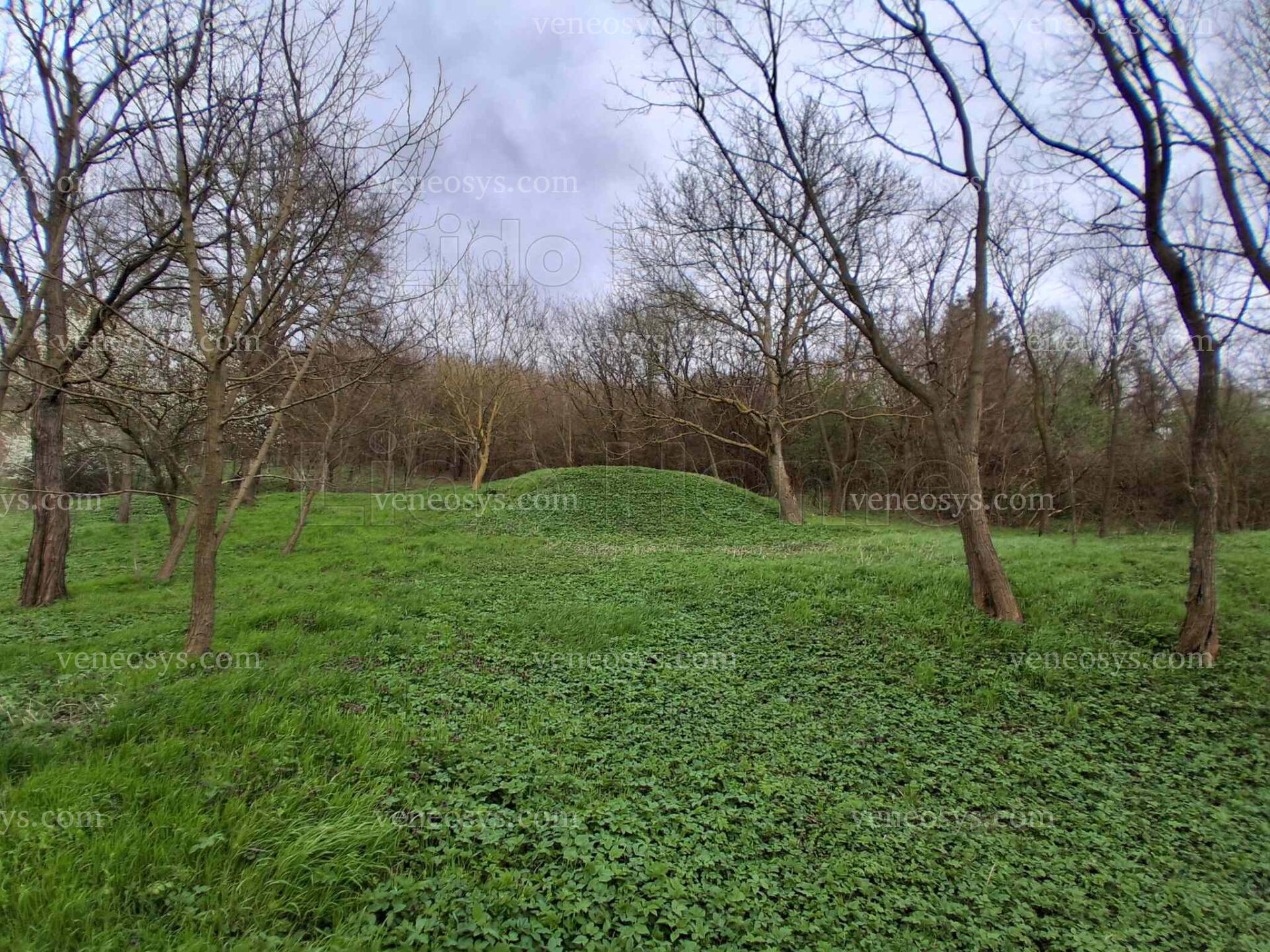 Kép 3