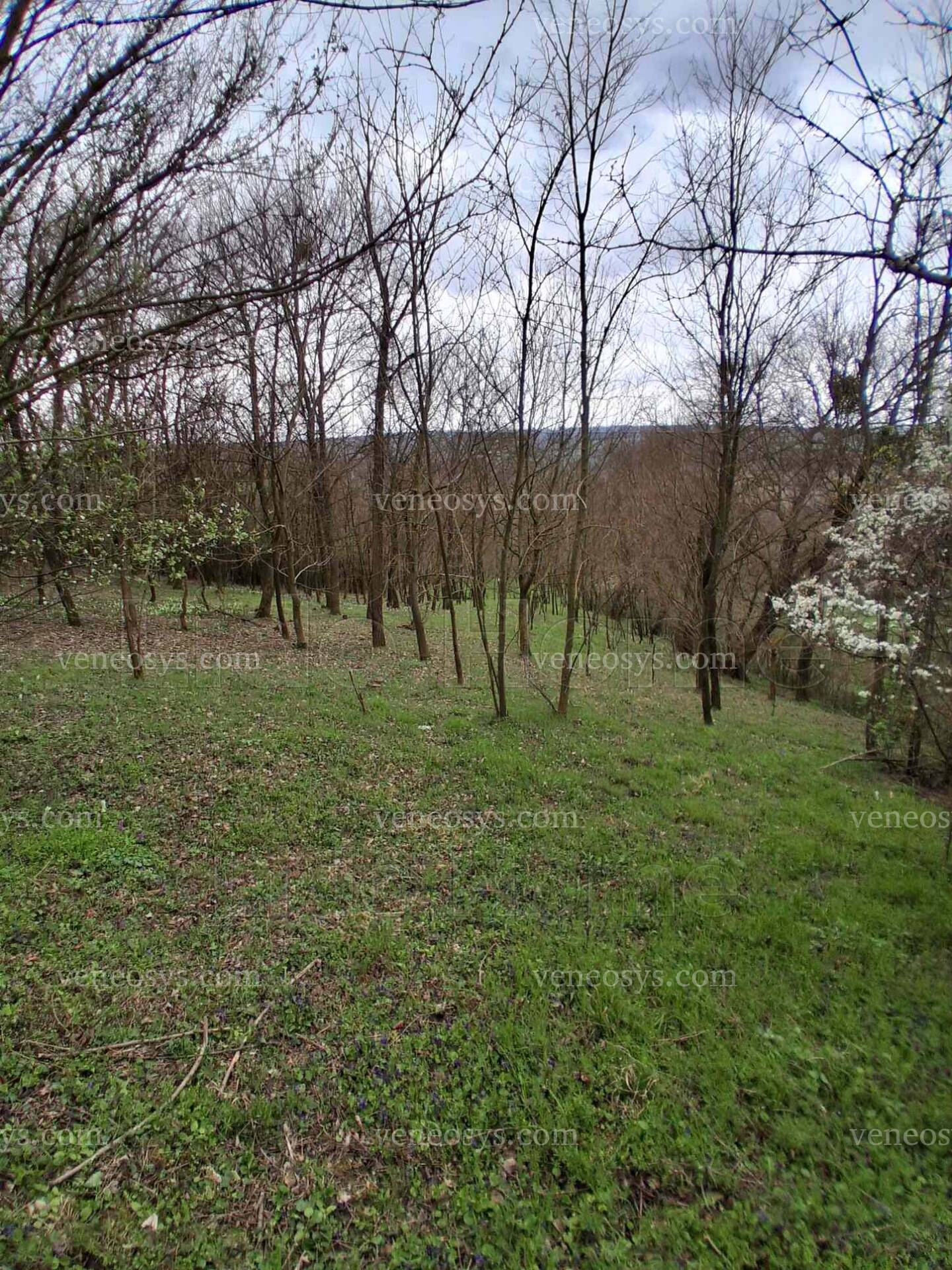Kép 5