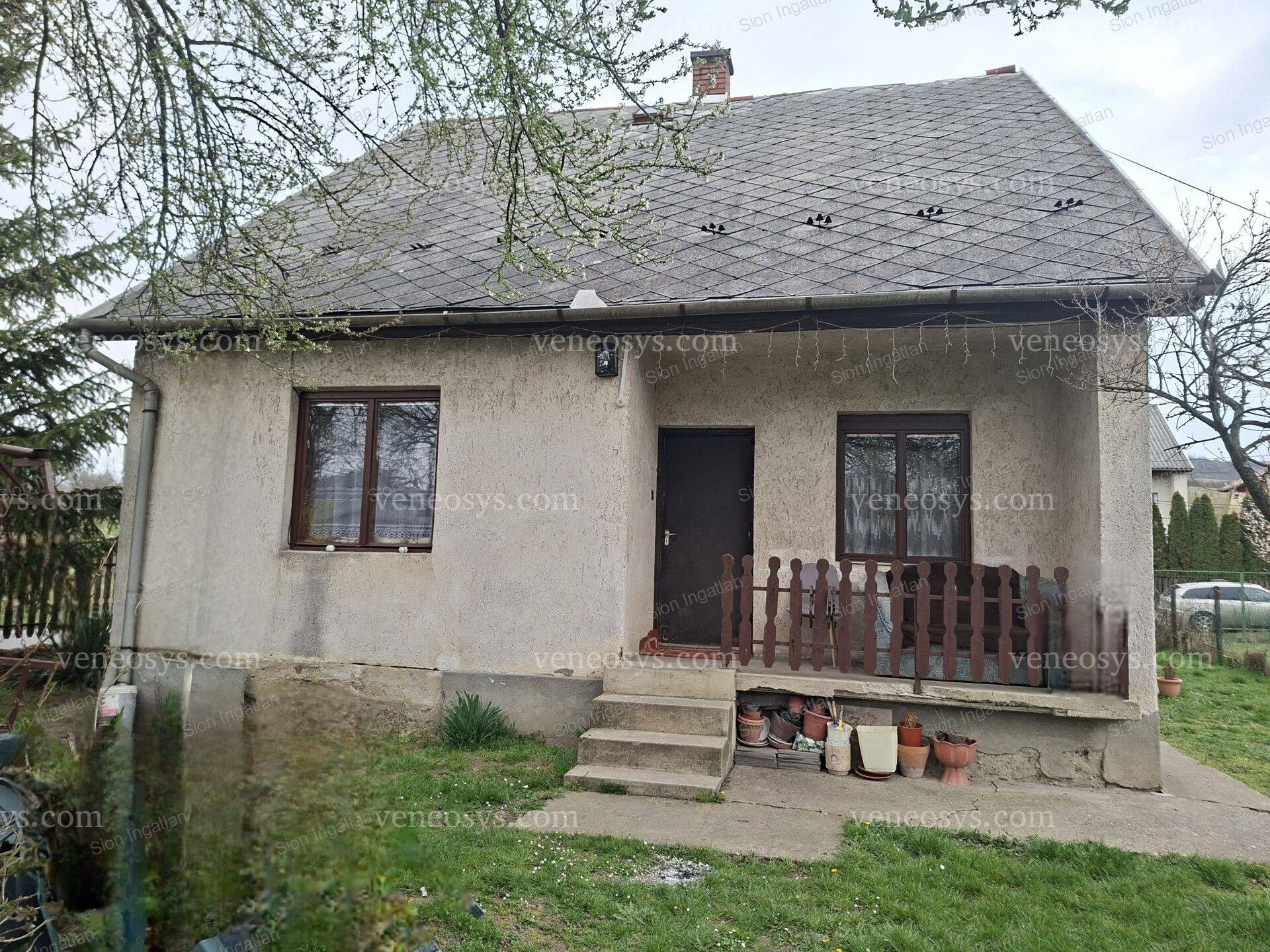 Kép 3