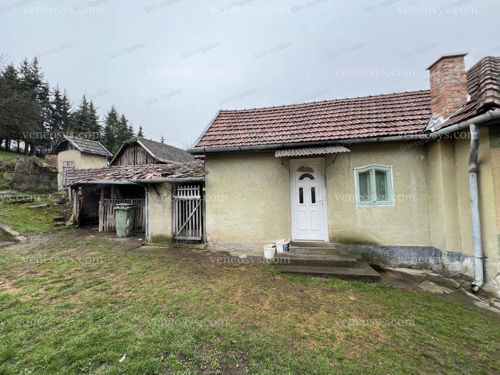Kép 5