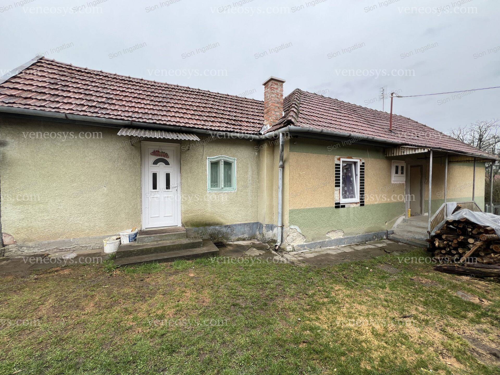 Kép 4
