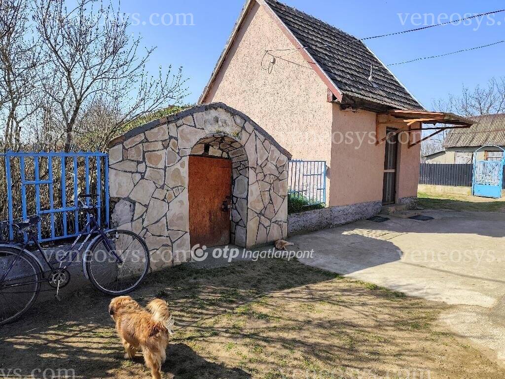 Kép 14
