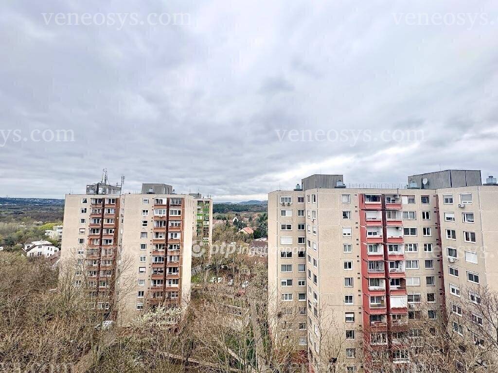 Kép 12