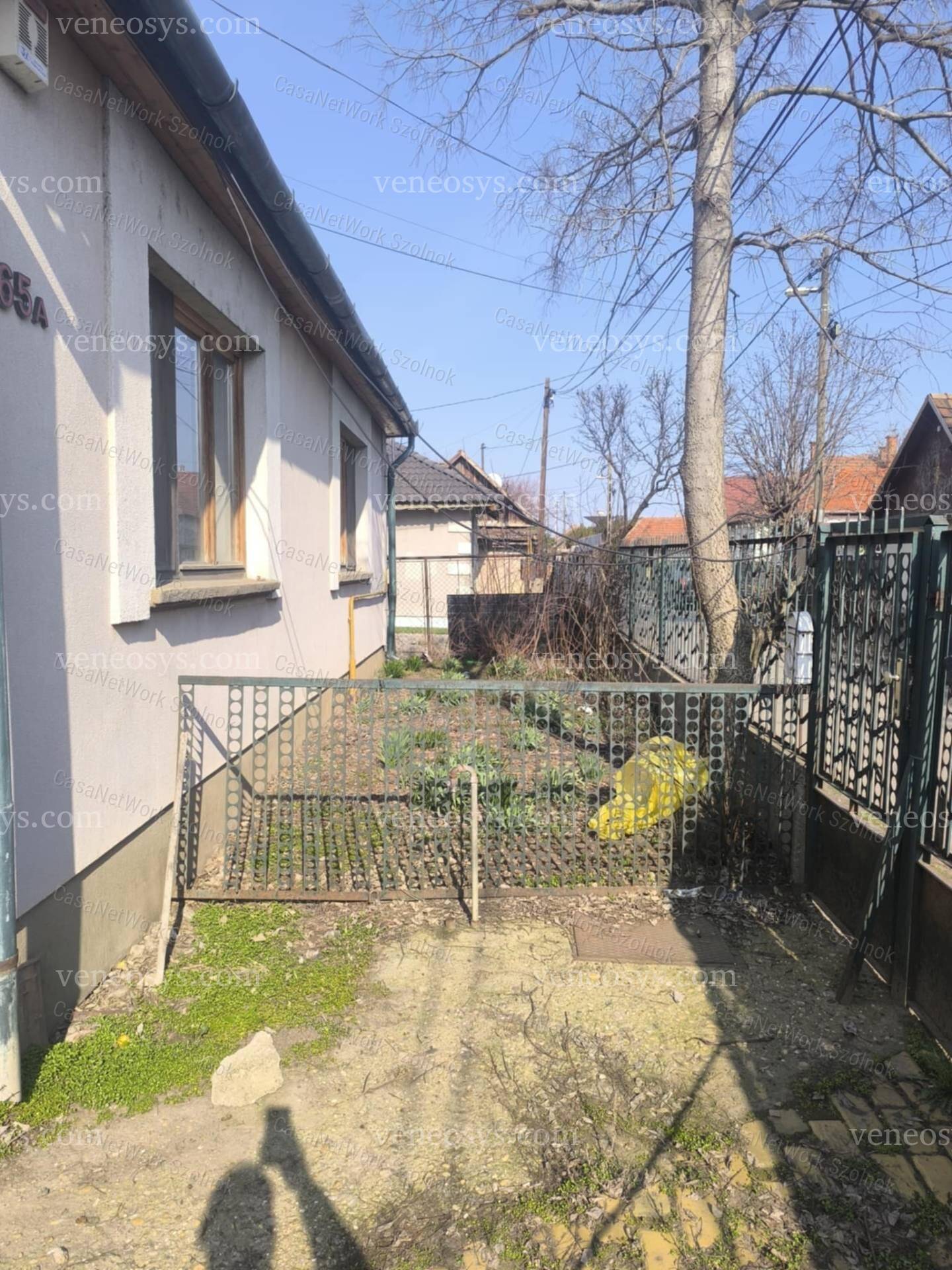 Kép 5