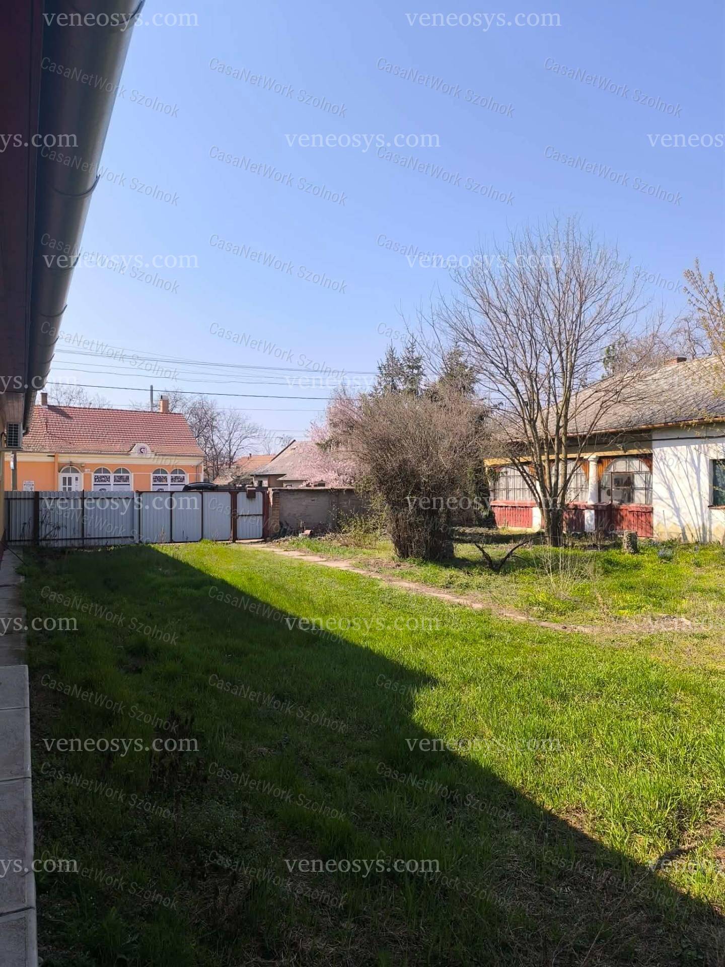 Kép 5