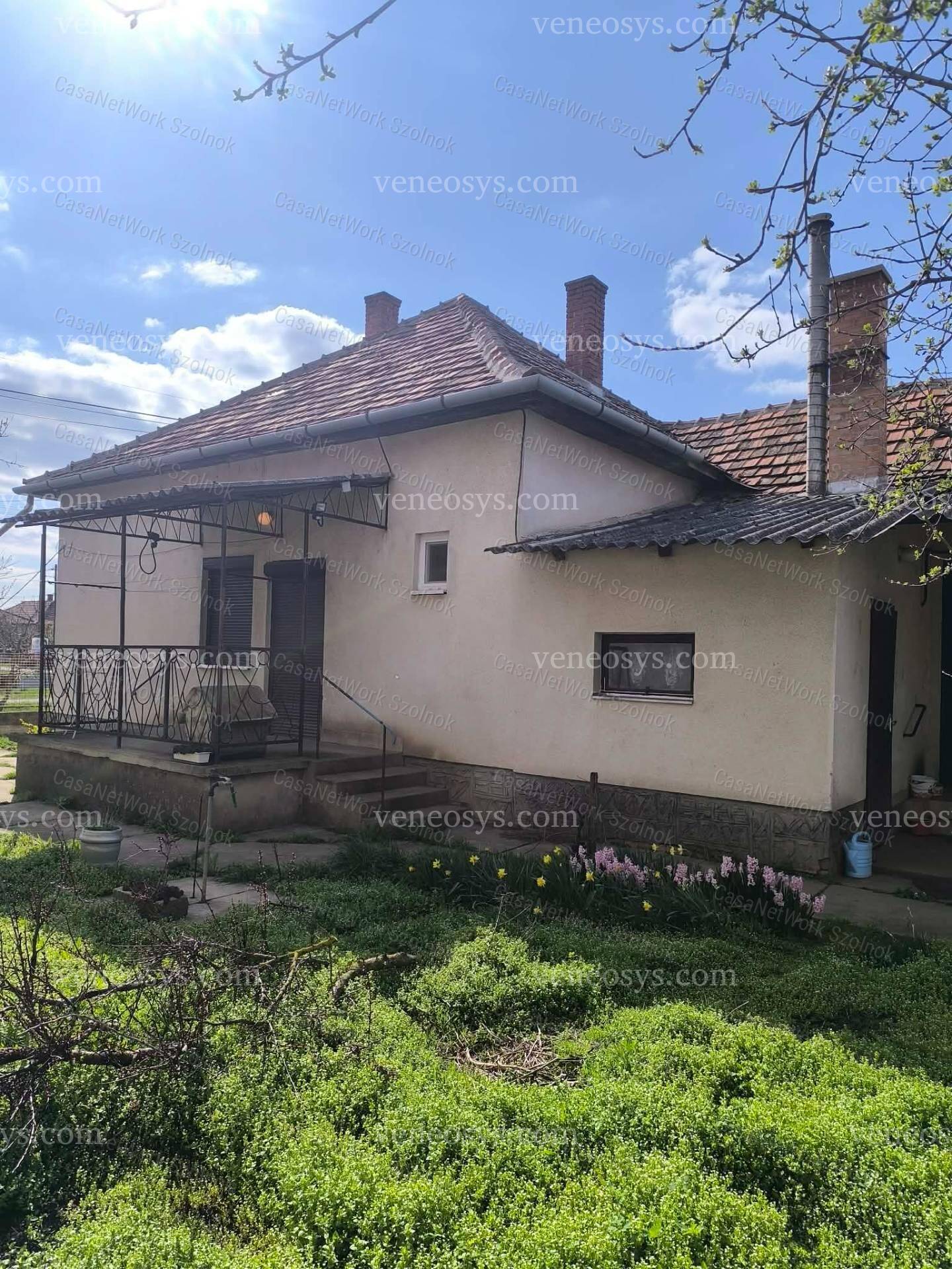 Kép 7