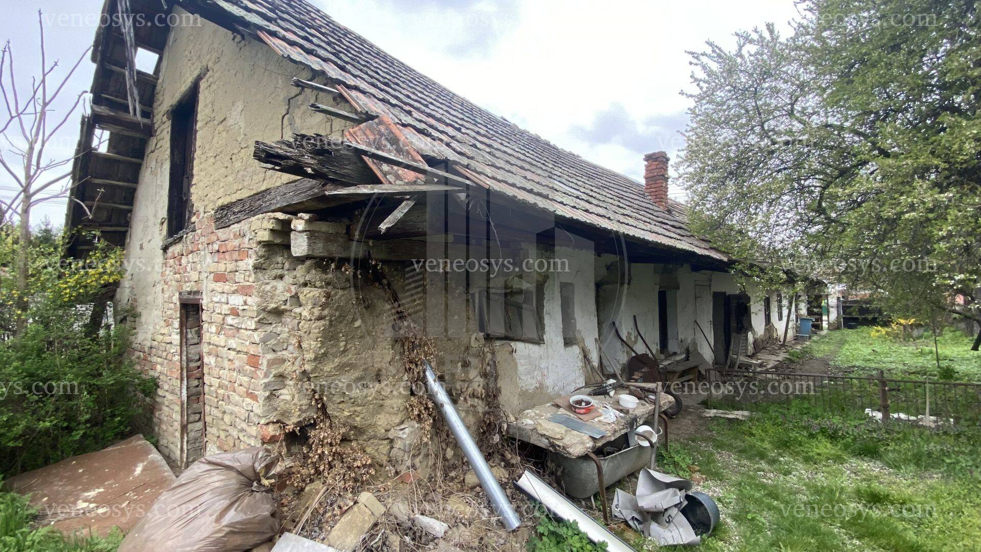 Kép 5