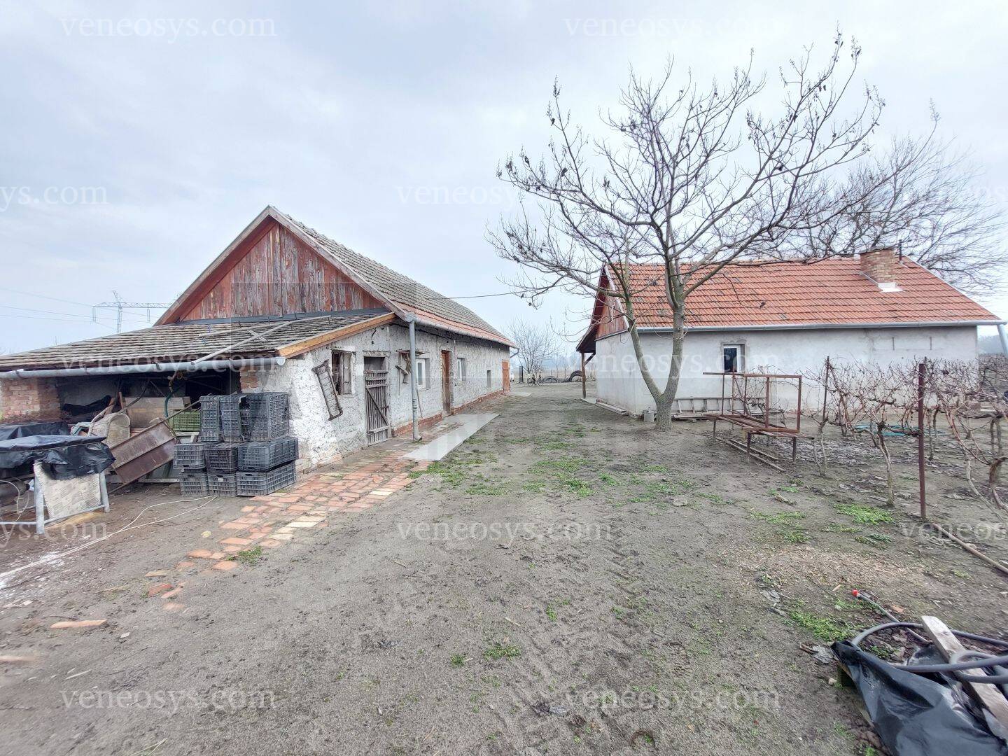 Kép 12