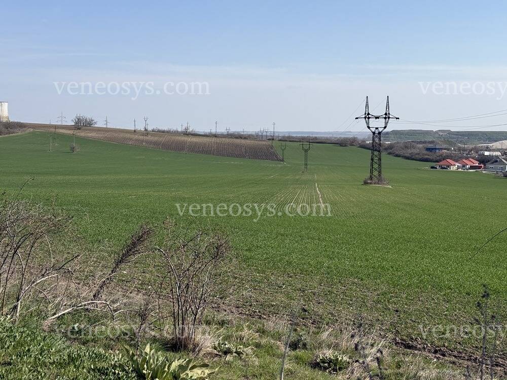 Kép 4