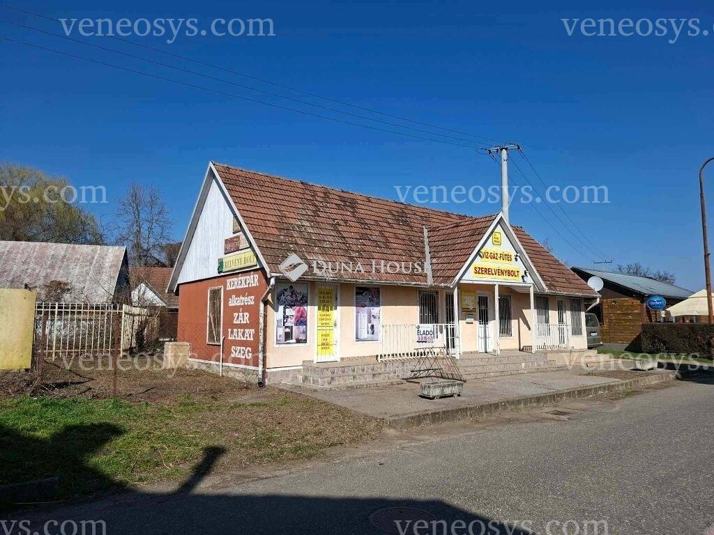 Kép 4