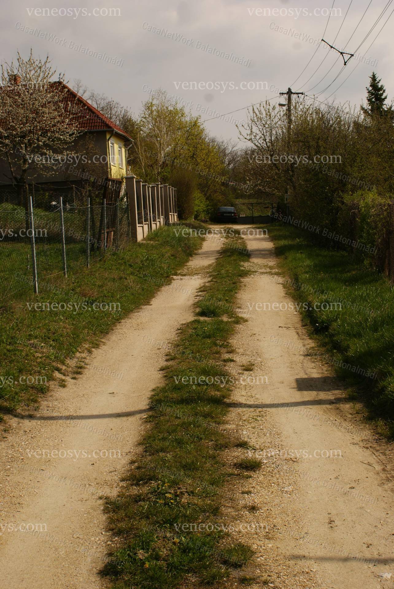 Kép 7
