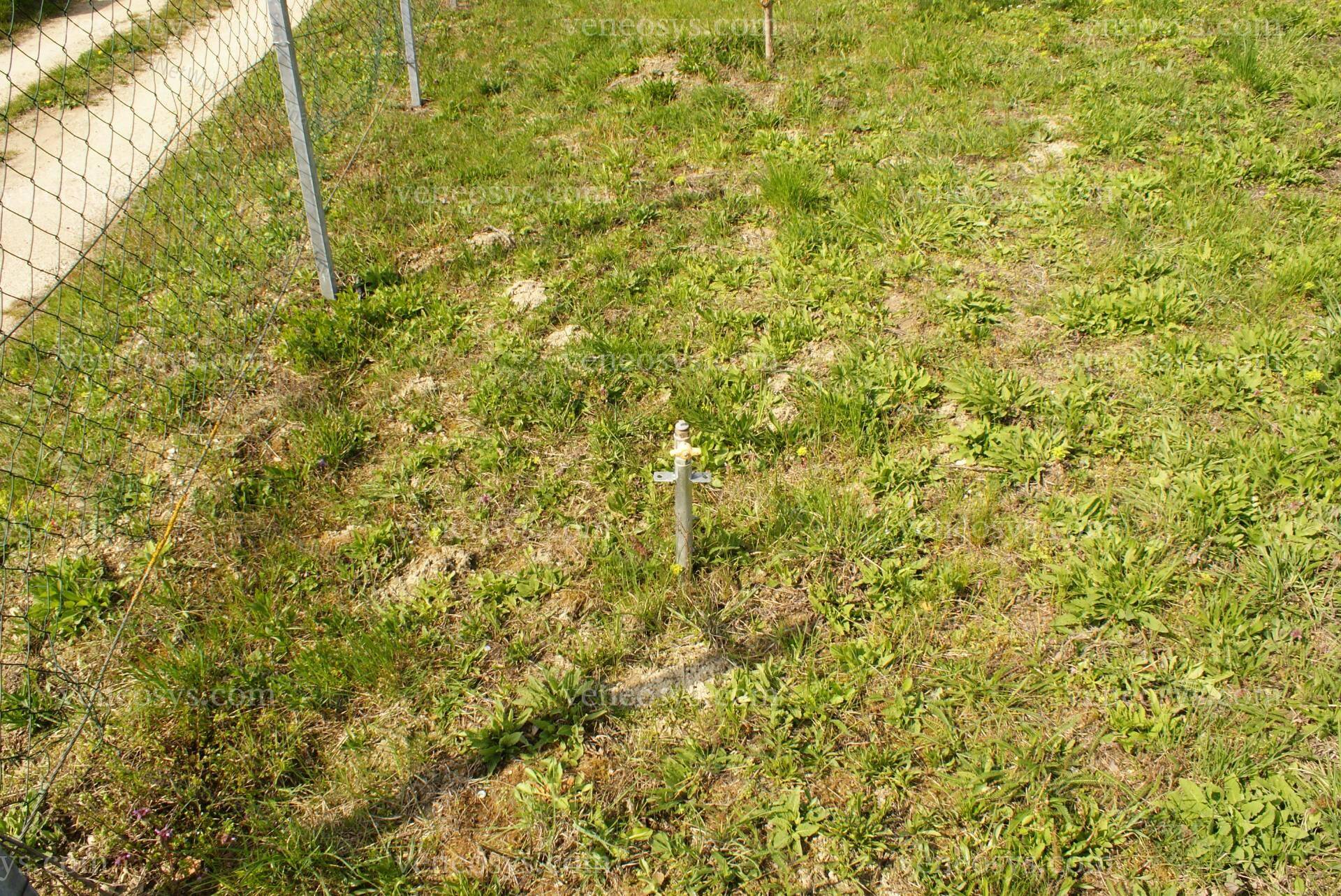 Kép 6