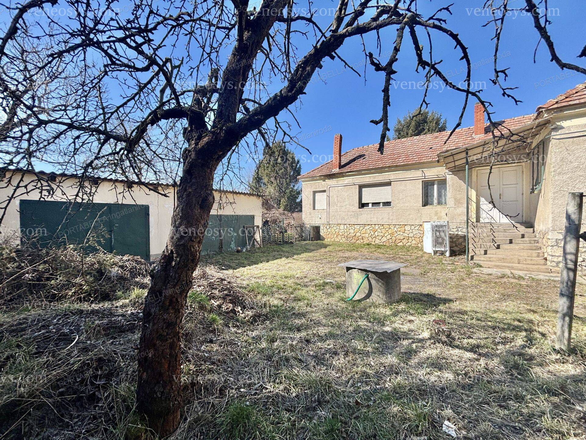 Kép 11