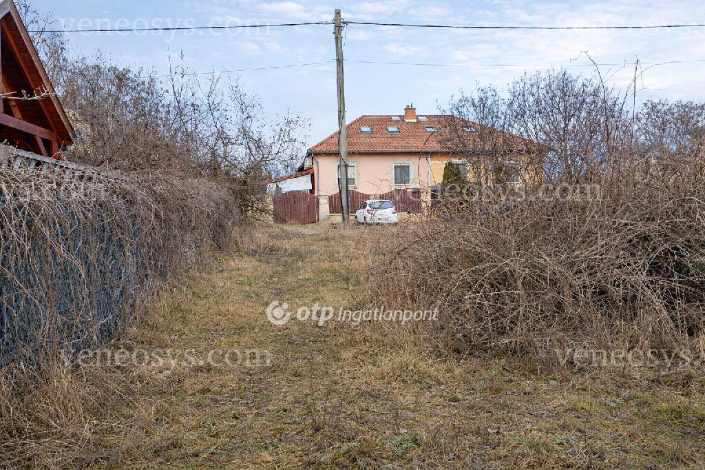 Kép 5