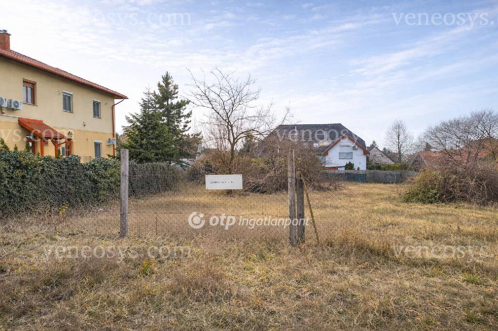 Kép 4