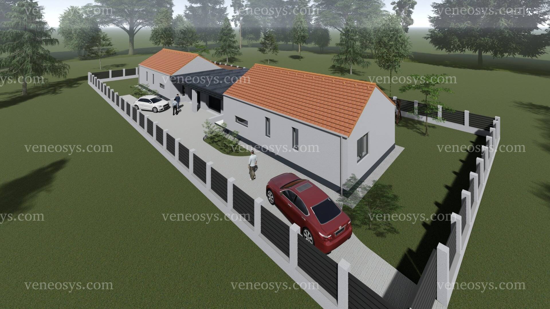Kép 6
