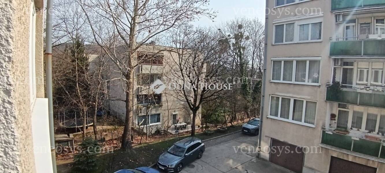 Kép 13