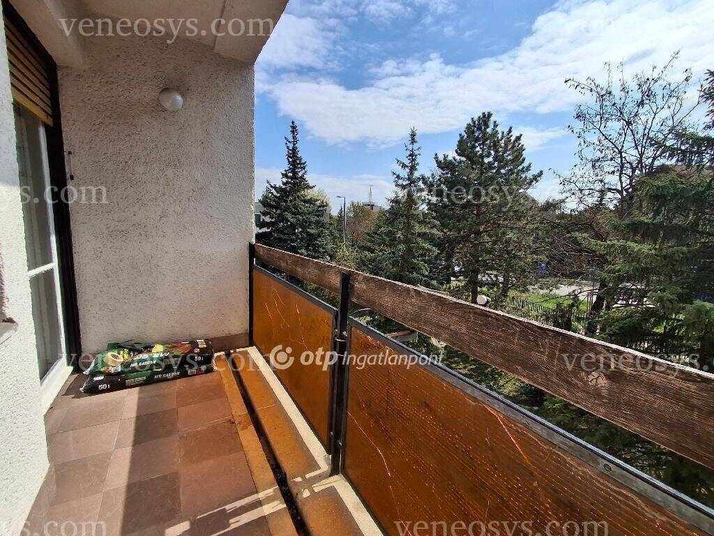Kép 7