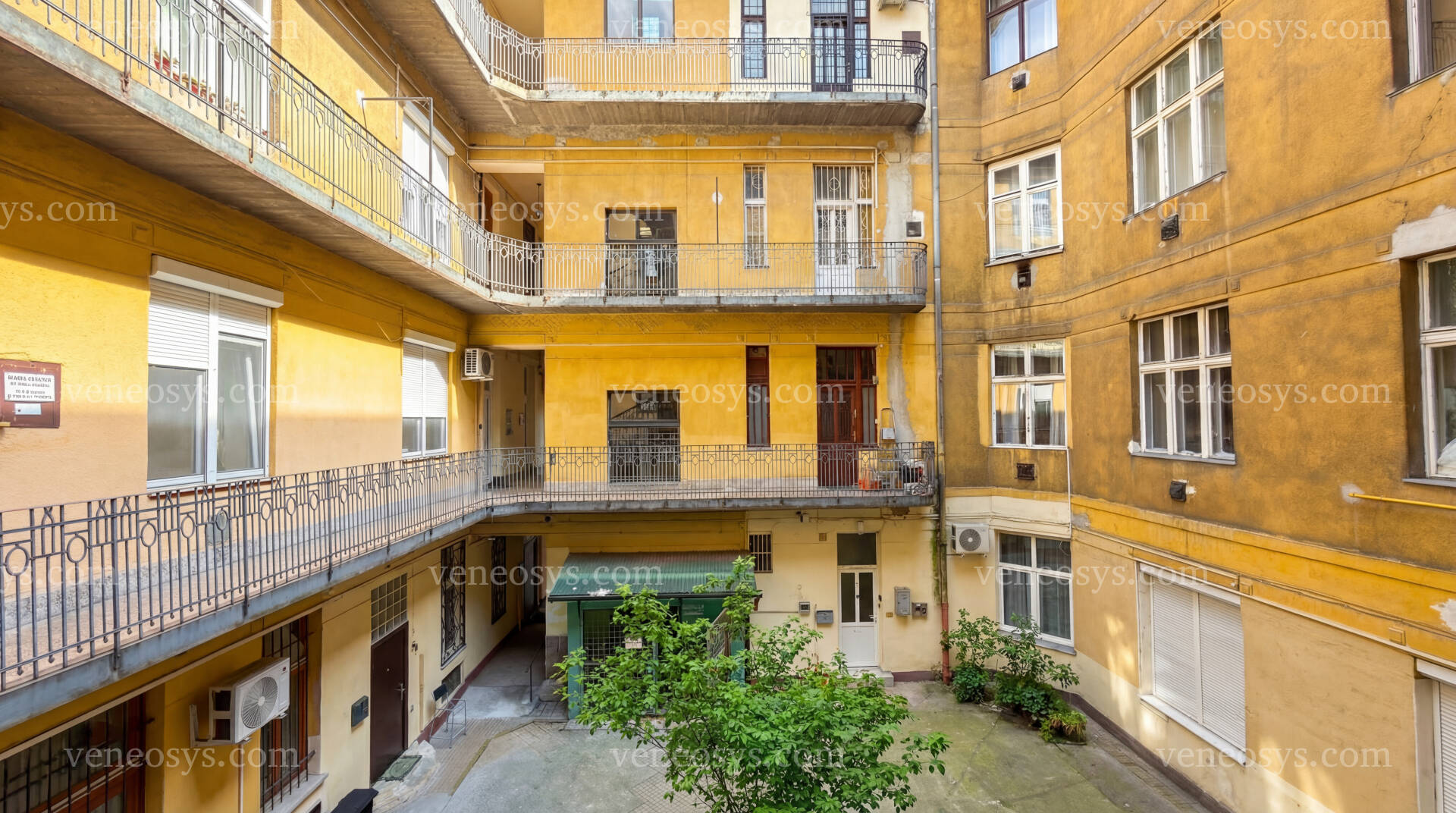 Kép 11